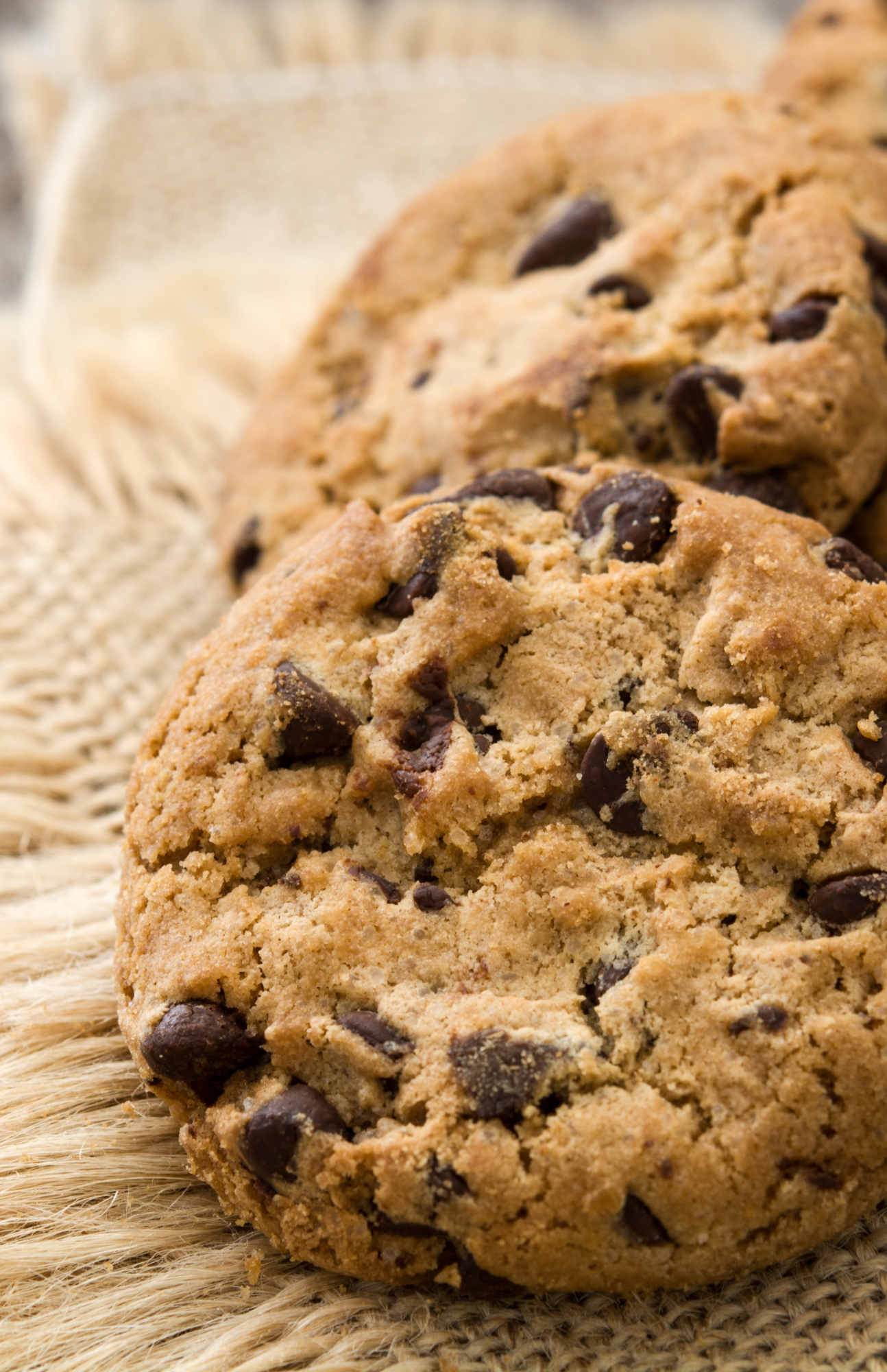 sourdough chocolate chip cookie recipe