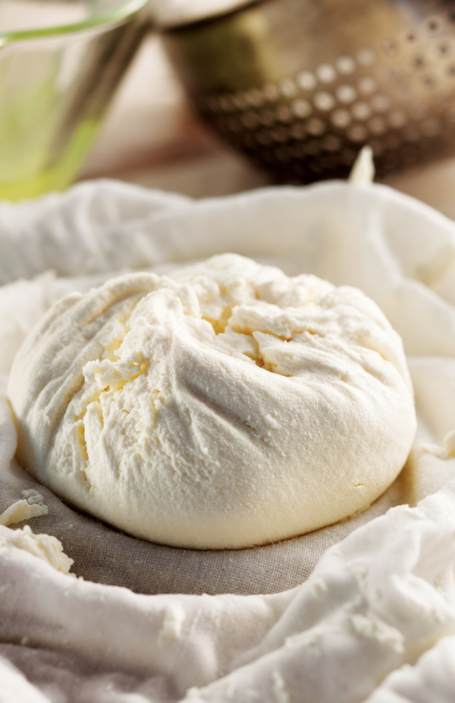 How to make mozzarella cheese from raw milk