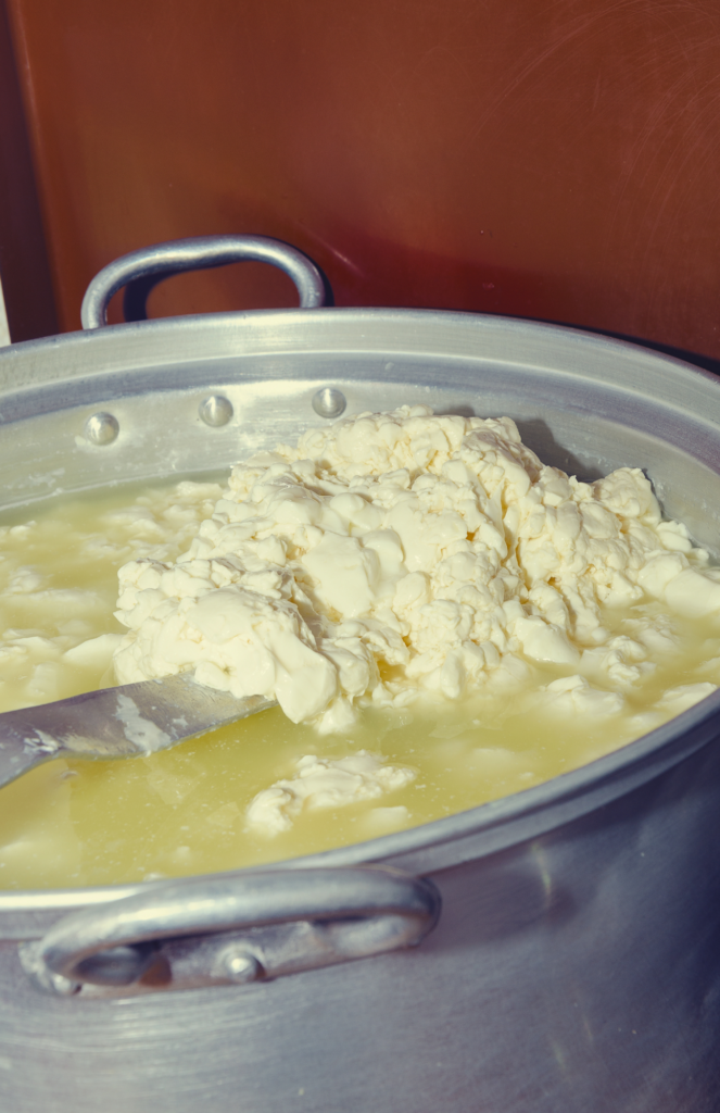 How to make mozzarella cheese from raw milk