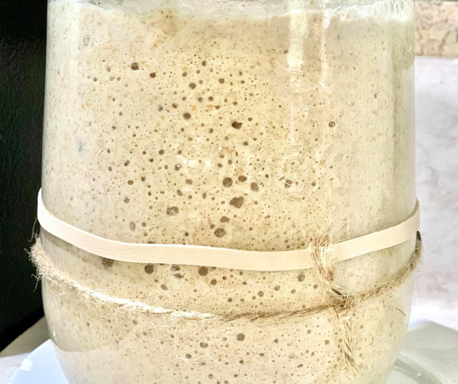 can sourdough starter go bad